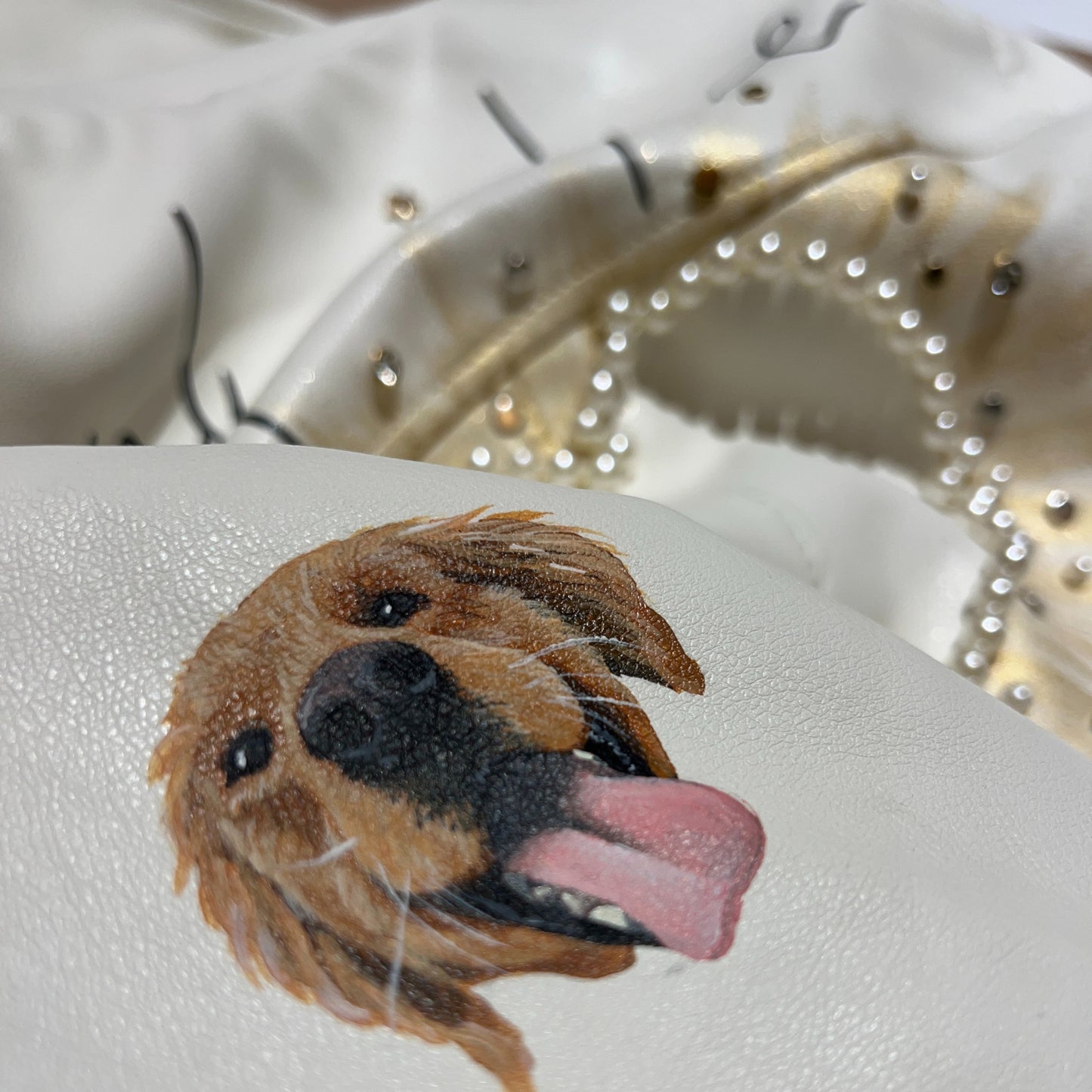 Lleva tu mascota