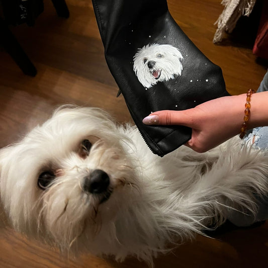 Lleva tu mascota